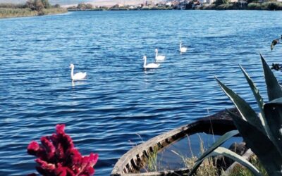 Fotografija mjeseca- LISTOPAD 2025.