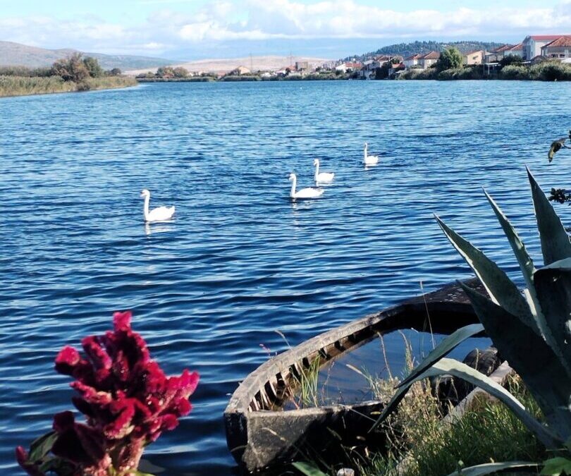 Fotografija mjeseca- LISTOPAD 2025.