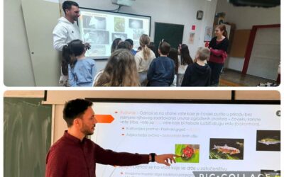 Edukativna radionica o invazivnim vrstama u našoj školi