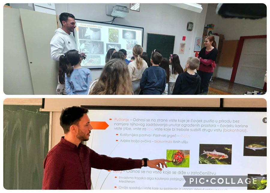 Edukativna radionica o invazivnim vrstama u našoj školi