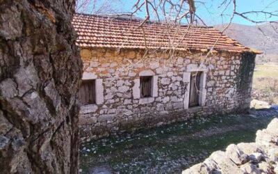 Fotografija mjeseca- OŽUJAK 2026.