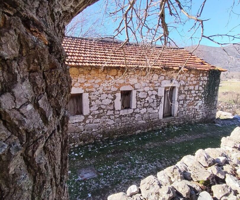 Fotografija mjeseca- OŽUJAK 2026.