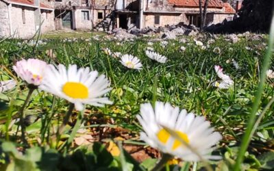 Fotografija mjeseca-TRAVANJ 2026.