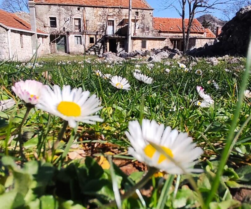 Fotografija mjeseca-TRAVANJ 2026.